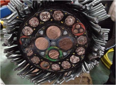 The bridle
              subsea cable cross section